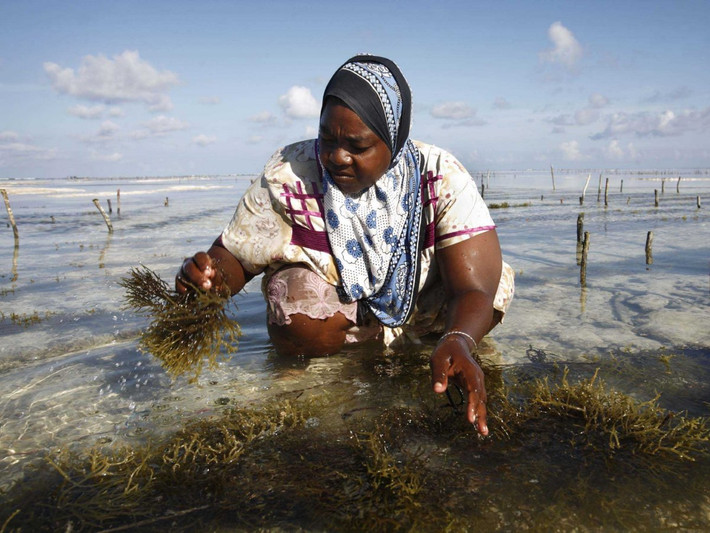 11. Tanzania: Tanzania gần đây có tốc độ tăng trưởng cao nhờ ngành sản xuất vàng và du lịch. Nền kinh tế này cũng đang chú trọng hơn đến phát triển viễn thông, ngân hàng, năng lượng và khai thác mỏ, bên cạnh phát triển nông nghiệp. Dù mức thu nhập bình quân đầu người đã được cải thiện đôi chút nhưng Tanzania vẫn là một trong những nước nghèo nhất trên thế giới.