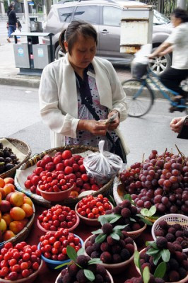 Quả thanh mai có vị chua ngọt, thanh mát nên được nhiều người lùng mua trong những ngày hè nóng nực.