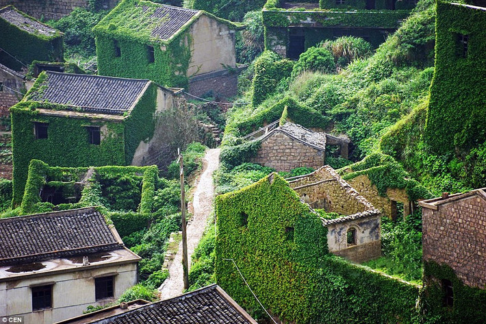 Vốn là một làng nghề có truyền thống đánh cá, nhưng đảo Gouqi đã bị bỏ hoang từ rất nhiều năm trước. Lâu này, cây cối xanh rợp đã bao trùm lên hầu hết các ngôi nhà trong làng nghề này.