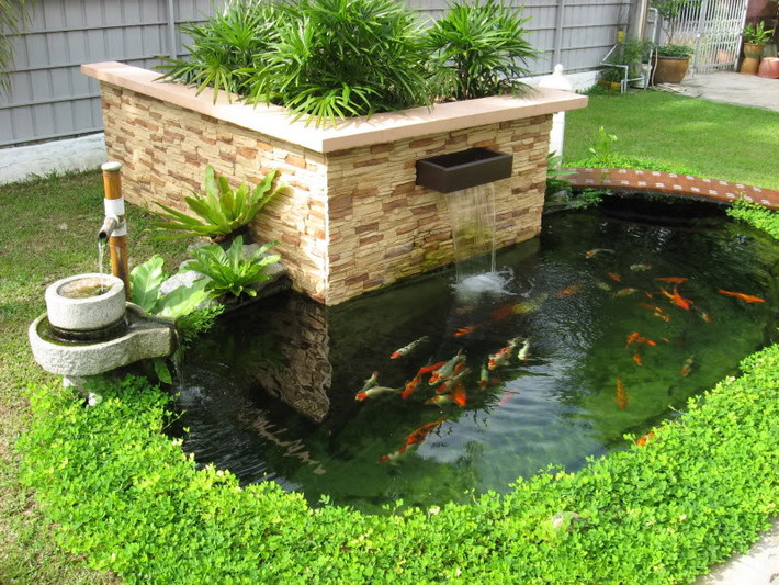 Một tiểu cảnh nước để nuôi cá.