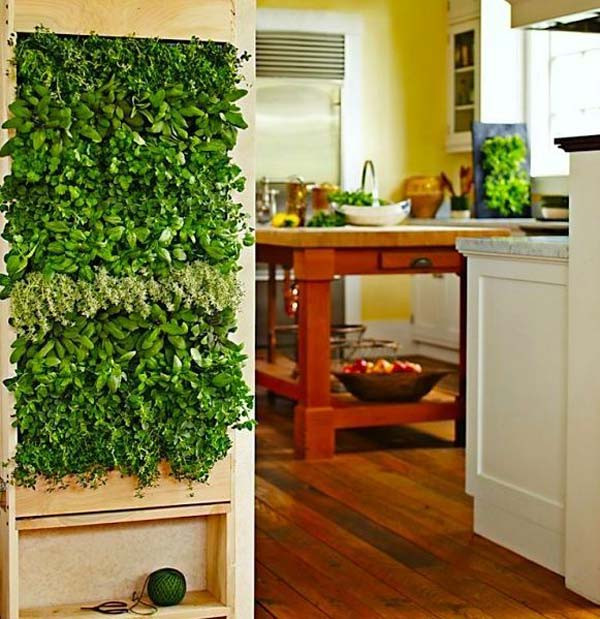 Trồng cây trên tường thẳng đứng là một ý tưởng tuyệt vời để trang trí nhà đẹp.