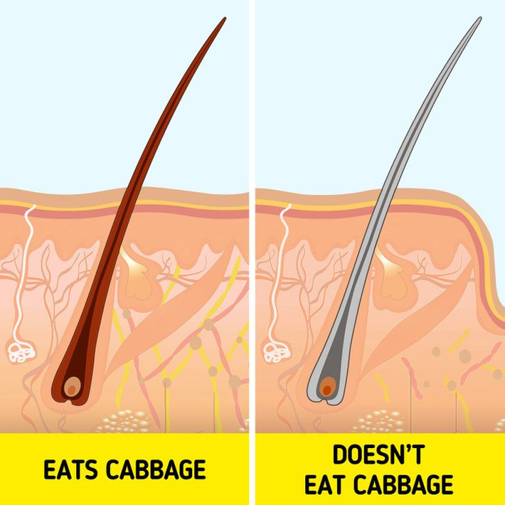 4. Thực phẩm giàu catalase: Khoai lang, cà rốt, ớt đỏ và nấm chỉ là một số loại thực phẩm giúp ngăn ngừa tóc bạc sớm. Điều này là do chúng có hàm lượng catalase cao, một chất được chứng minh là có tác dụng bảo vệ sắc tố tóc. Thường xuyên ăn những thực phẩm này có thể giúp bảo vệ tóc không bị bạc sớm.