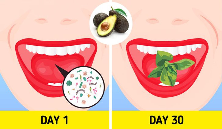 2. Hơi thở trở nên thơm mát hơn: Nếu bạn đang tìm kiếm một loại thức uống giải khát tự nhiên, thì đã đến lúc nghĩ đến quả bơ. Loại trái cây này có hoạt tính kháng khuẩn cao và ăn một quả bơ mỗi ngày có thể loại bỏ vi khuẩn khỏi miệng và làm sạch nó.