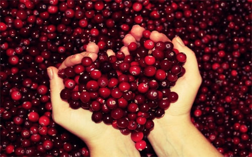 10. Quả nam việt quất: Quả này có chứa một chất dinh dưỡng thực vật gọi là proanthocyanin, có tác dụng ngăn ngừa nhiễm trùng do vi khuẩn trong lớp niêm mạc bên trong bàng quang và vùng tiết niệu của bạn.