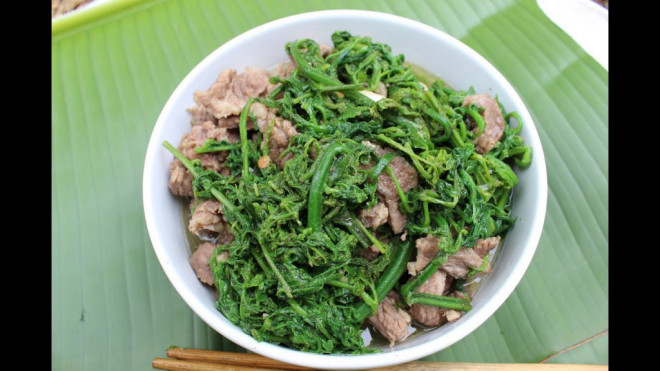 Trong y học, rau dớn vừa là một loại rau vừa là một loại thảo mộc dùng để chữa các bệnh phổ biến như cảm, ho, viêm họng… Theo Đông y, rau dớn còn là loại rau có tính mát, lợi tiểu, chống táo bón, rau có thể phơi khô để dành nấu nước uống giải nhiệt.