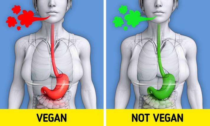 8. Mùi cơ thể thay đổi: Mặc dù ăn thịt có thể khiến bạn thải ra chất độc có mùi mạnh mẽ, nhưng rau và ngũ cốc cũng làm thay đổi mùi cơ thể bạn. Một số loại rau có rất nhiều lưu huỳnh tự nhiên trong đó như bắp cải và hành tây. Khi chế độ ăn uống của bạn chứa nhiều lưu huỳnh, mồ hôi và hơi thở có thể bắt đầu có mùi giống như thức ăn bị phân hủy trong cơ thể.