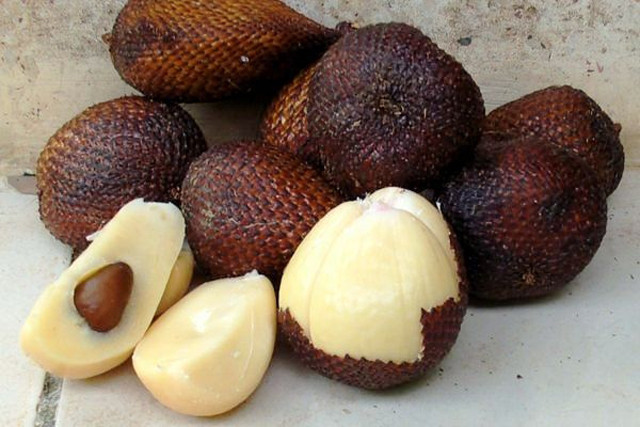 Quả mây Thái còn được gọi là mây gai hoặc quả Salak, là loại trái cây có gai mọc hoang trong rừng, mỗi chùm có tầm 14 - 16 quả. Trái mây có loại thì hình dáng tròn đều, loại thì hơi dài và nhọn ở 2 đầu. Chúng có mặt đầu tiên ở Việt Nam tại An Giang, sau đó được người dân miền Tây Nam Bộ đem về bán ở các tỉnh.