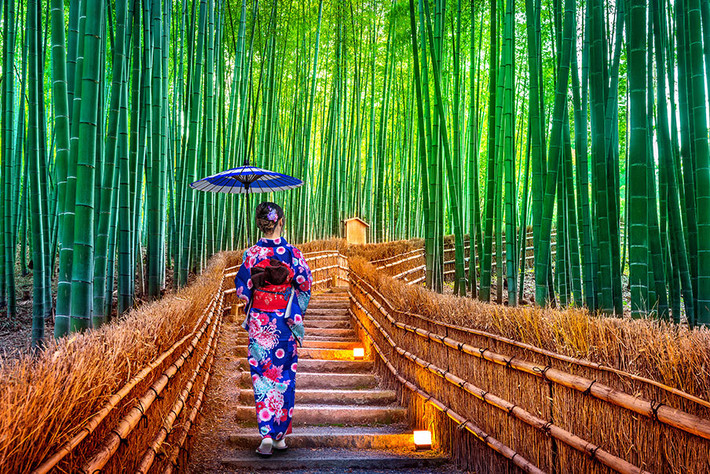 Nằm ở quận Sagano nổi tiếng dọc theo ngoại ô phía Tây của Kyoto (Nhật Bản), khu rừng tre của Công viên Arashiyama là điểm đến không thể bỏ qua đối với những người yêu thiên nhiên.