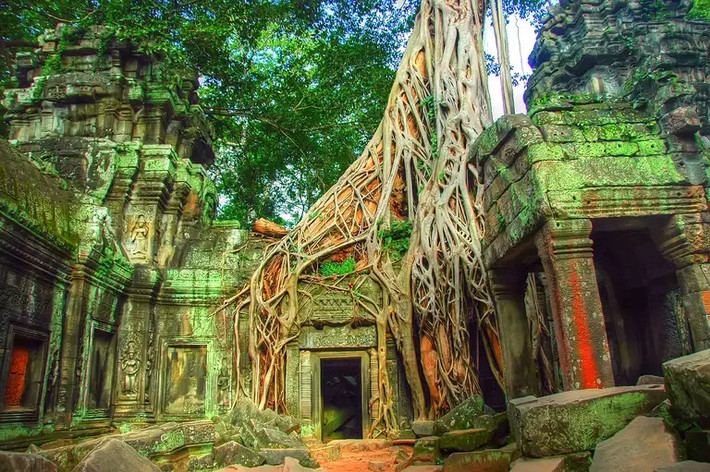 8. Đền Angkor Wat: Nằm trong khu rừng rậm phía bắc tỉnh Siem Reap của Campuchia, Angkor Wat là một nơi tuyêt đẹp được UNESCO gọi là một trong những địa điểm khảo cổ quan trọng nhất của Đông Nam Á. Hiện tại, ngôi đền Ta Prohm được bao phủ bởi những gốc cây khổng lồ. Ảnh: TH.