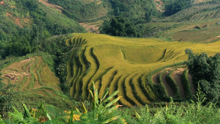 Sa Pa ở tỉnh Lào Cai là điểm đến thu hút du khách ưa mạo hiểm, thích tận hưởng không khí trong lành, các thác nước, ruộng bậc thang, văn hóa bản địa và những tuyến đi bộ đường dài.
