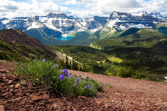 Công viên quốc gia Waterton Lakes, Alberta, Canada. Chắc hẳn bạn đã nghe đến Banff, nơi mà có lẽ là công viên quốc gia nổi tiếng nhất của Canada. Công viên quốc gia Waterton Lakes nằm ở phía nam Banff, được thành lập sau đó một vài năm vào 1895, điều này khiến Waterton Lakes trở thành một trong những vườn quốc gia lâu đời nhất thế giới.