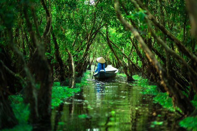 Rừng Tràm Trà Sư, Châu Đốc.