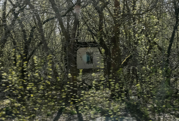 Một ngôi nhà gần nhà máy Chernobyl bị bỏ hoang, cỏ dại mọc um tùm sau khi xảy ra thảm kịch hạt nhân năm 1986.