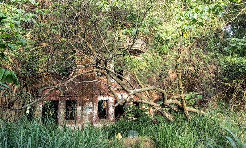 Biệt thự ma Dân Hùng ẩn mình giữa đồng bằng Gia Nam, nơi những cánh đồng lúa ngút ngàn trải rộng tới tận chân trời, chỉ rải rác những mái chòi lợp tôn lụp xụp. Không hiếm để bắt gặp di tích của những tòa nhà có sân vườn truyền thống của Đài Loan ở vùng đồng quê. Nhưng một biệt thự 3 tầng theo phong cách Tây Ban Nha gần như chưa từng có.