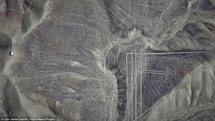 Điều đáng chú ý về "những đường vẽ Nazca" là chúng quá lớn (hình vẽ lớn nhất dài tới 275m) nên chỉ có thể nhìn rõ từ phía trên cao.
