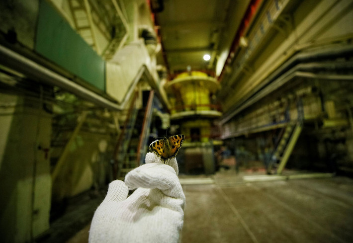 Một số nhà báo vào khu vực nhà máy Chernobyl để tham quan, chụp ảnh.