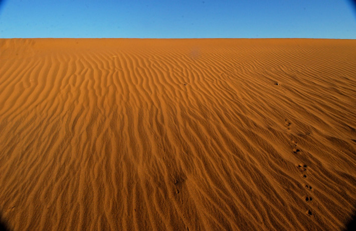 Sa mạc Sahara có hơn 20 hồ nước, chủ yếu là hồ nước mặn.
