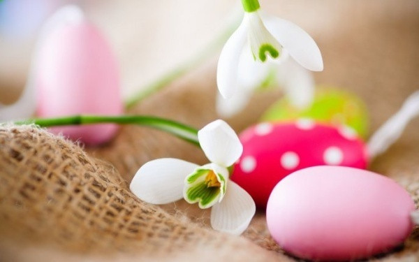 Sơn những vỏ trứng với nhiều màu sắc và đặt chúng vào trong một chiếc giỏ.