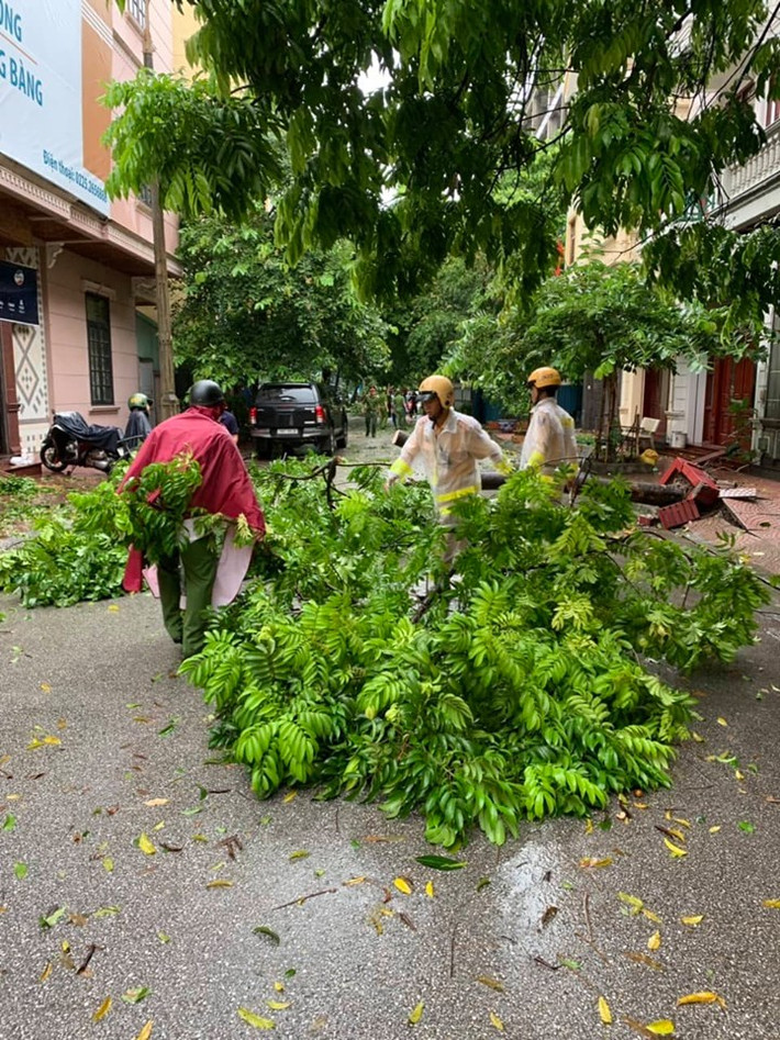Lực lượng CSGT tham gia dọn cây bị đỗ gãy.