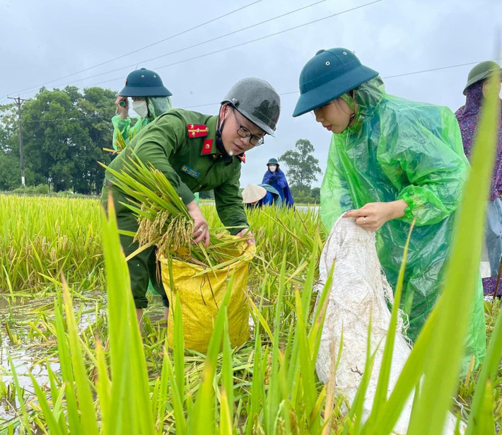 Sáng ngày 24/5, mức nước lên cao khiến nhiều diện tích hoa màu, lúa của người dân bị chìm trong biển nước.