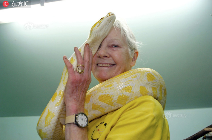 Sue Coleman, 70 tuổi, người Anh là một người phụ nữ kỳ lạ. Bà thậm chí còn bị còn là dị nhân chỉ vì sở thích nuôi trăn, rắn cực độc làm thú cưng của mình.