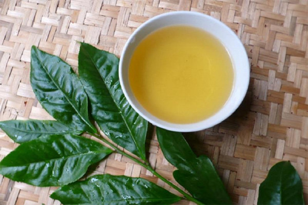Bạn dùng 1 nắm lá trà xanh tươi đem nấu sôi với nước. Cho thêm 1 chút muối. Pha cùng với nước lạnh để tắm. Thực hiện 2 lần/ngày sẽ thấy các triệu chứng dị ứng mẩn ngứa thuyên giảm hẳn.