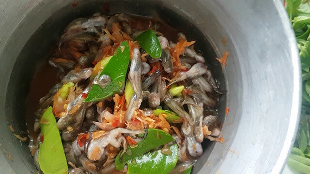 Nhắc đến các món tươi sống ở thái Lan thì không thể bỏ qua món ăn được phục vụ trên lá chuối có tên Mok huak. Người dân xứ chùa vàng cho rằng Mok Huak rất giàu chất dinh dưỡng vì được chế biến từ những con nòng nọc đã phát triển thành ếch trộn kèm với mắm cá và ớt cay.