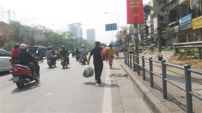 Giá nông sản ở mức rất rẻ như: ổi Thanh Hà chỉ 50.000 đồng/10kg, su hào 40.000 đồng/20 củ, bắp cải 18.000 đồng/5kg, cà rốt 70.000 đồng/10kg hay 10kg cà chua cũng chỉ có giá 40.000 đồng...