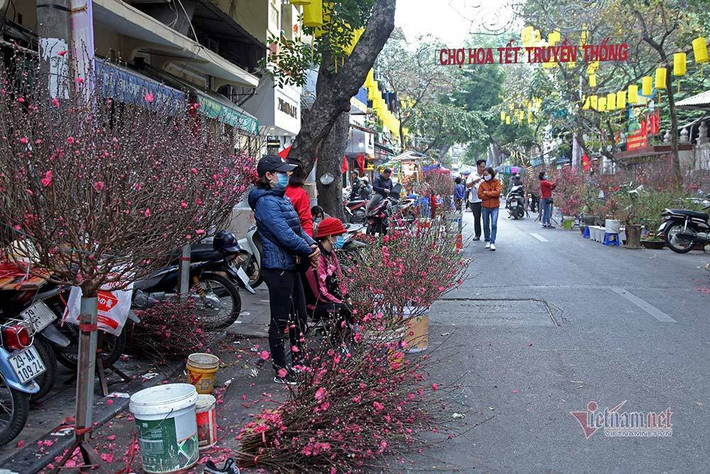 Chợ hoa bắt đầu hoạt động từ 29/1 và kéo dài đến hết ngày 11/2 (tức 30 Tết Âm lịch) - là địa chỉ để người dân lui tới du Xuân và mua sắm Tết...Từ tối 29/1, chợ hoa truyền thống phố cổ đi vào hoạt động. Tuy nhiên, do ảnh hưởng của dịch Covid-19 nên lượng khách đến chợ thưa thớt