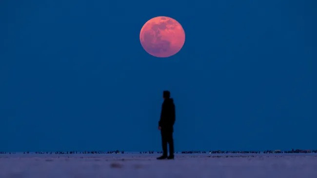 Ước tính hơn 1 tỉ người ở Mỹ, Canada và các nơi còn lại ở Bắc và Nam Mỹ sẽ có vị trí lý tưởng nhất để quan sát hiện tượng trăng máu trong hơn 1 tiếng với điều kiện thời tiết thuận lợi. Trăng máu ở Bherandiala, Ấn Độ. Ảnh: Dhruv Gajjar / EyeEm via Getty Images.