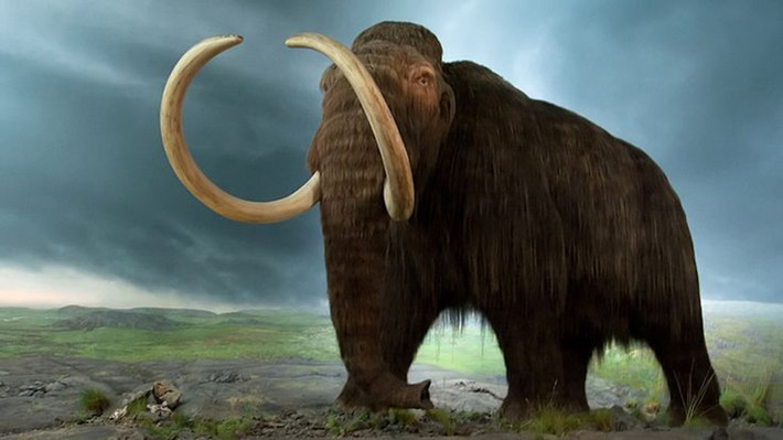 Thông qua phân tích DNA, phân tích đồng vị và định tuổi thông qua đồng vị carbon phóng xạ, cũng như đối chiếu các mô hình cổ nhân khẩu học, các nhà khoa học đã tái tạo lát cắt lịch sử về khu trại săn bắn này. Ảnh: Pinterest.
