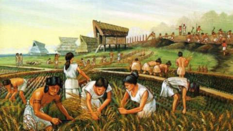 Tại khu định cư mới khai quật, các chuyên gia đã tìm thấy tàn tích của nhiều tòa nhà, con hẻm, đường xá, khu chôn cất, kho chứa thực phẩm... Ảnh: Archaeology Wiki.