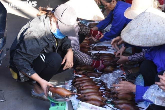 Các loài chuột, bao gồm chuột đồng chuyên phá hoại mùa màng, đồ đạc trong nhà... Theo đó, loài động vật gây hại này bị người dân lùng bắt, tiêu diệt để bảo vệ hoa màu, tài sản. Thế nhưng, những năm gần đây, chuột đồng trở thành nguồn thu lớn đối với nhiều gia đình. Món ăn đặc sản của đồng quê này giúp dân kiếm tiền triệu. Ảnh: VTC.