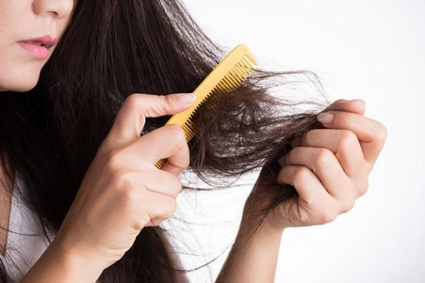 Ngày nay, rất nhiều chị em quan tâm đến mái tóc của mình. Tóc rụng, tóc chẻ ngọn, tóc xỉn màu,… tất cả đều cho thấy tóc đang có vấn đề. Các chuyên gia dinh dưỡng giải thích rằng, nếu bạn có một chế độ ăn uống lành mạnh, tất cả các tế bào trong cơ thể bạn sẽ khỏe mạnh, bao gồm cả tế bào tóc.