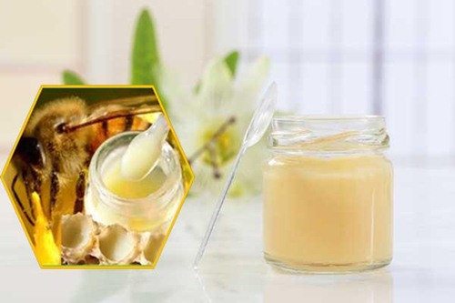 Sữa ong chúa được xem như "sản phẩm chăm sóc sức khỏe thần kỳ". Sữa ong chúa chủ yếu là chất tiết ra từ tuyến hầu họng của ong thợ non nuôi dưỡng ấu trùng trong tổ ong, chứ không phải là chất ngọt tự nhiên được ủ như mật ong.