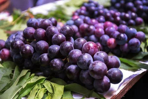 Thế nhưng nho có thực sự là loại quả mà người bị mỡ máu nên tránh hay không? Các bác sĩ tim mạch cho biết, nho rất giàu vitamin C và kali giúp tăng cường trao đổi chất trong cơ thể, giúp đào thải độc tố và chuyển hóa chất béo. Ăn nho với liều lượng thích hợp sẽ giúp ích cho sức khỏe tim mạch, vì vậy bạn có thể ăn nho để chữa bệnh mỡ máu cao.