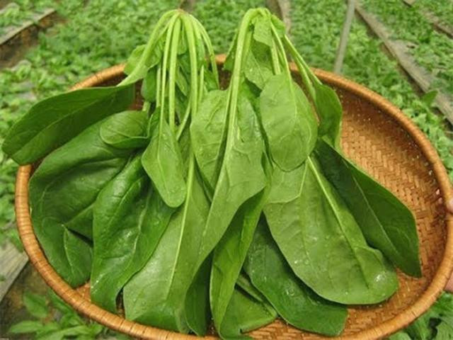 Thành phần chính của loại rau này rất giàu axit folic, sắt, các loại vitamin và nguyên tố vi lượng, có thể thúc đẩy tuần hoàn máu của cơ thể, từ đó nuôi dưỡng gan.