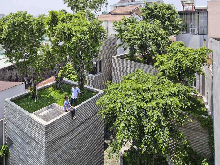 Công trình House for Trees dựa trên ý tưởng những chậu cây xanh, các cây cổ thụ trồng trên mái nhà đem lại không gian xanh và bầu không khí trong lành bao phủ khắp nhà, làm giảm bớt căng thẳng cho gia chủ cũng như việc tiêu hao năng lượng của ngôi nhà.