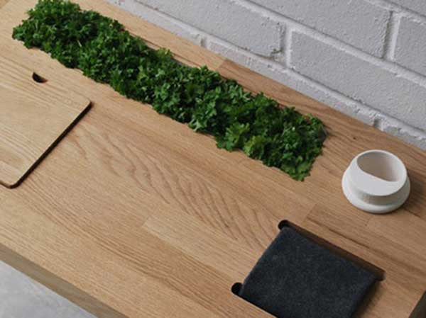 Một ô trồng rau xanh sẽ tạo điểm nhấn ấn tượng cho chiếc bàn ăn.