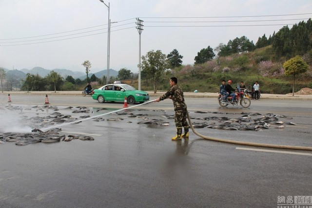 Công việc bắt cá được cả những người dân hỗ trợ và không có bất cứ trường hợp "hôi của" nào.