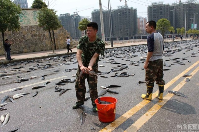 Sau đó, họ bắt vào xô để đổ lại thùng xe tải.