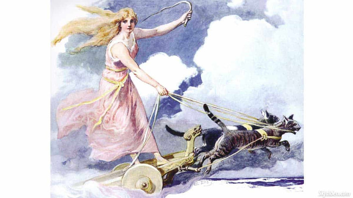 Nữ thần Freya thường di chuyển bằng cỗ xe do những chú mèo kéo đến nhiều nơi trên Trái đất để ban phát tình yêu cho mọi người.