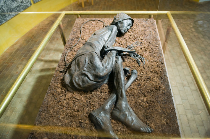 Trong bữa ăn này, Tollund Man ăn cá, cháo và một số loại hạt cây dại. Những thứ này được tìm thấy trong dạ dày của xác ướp đầm lầy.