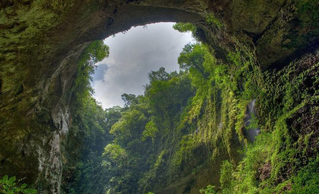 Hang Sơn Đoòng của Việt Nam: Hang động đặc biệt này có một cửa sổ trời khổng lồ giúp hang nhận được lượng ánh sáng mặt trời lớn khiến thảm thực vật phát triển rất tốt và điều này đã đưa hang Sơn Đoòng trở thành một trong những hệ thống hang động đẹp nhất thế giới.