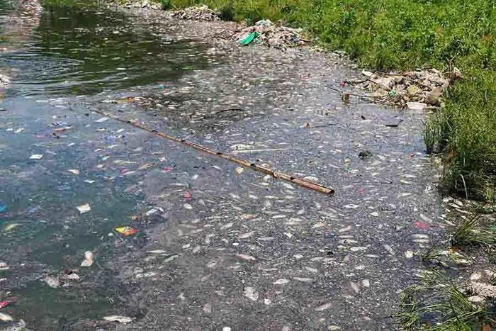 Một số người dân ở gần đây cho hay, hồ điều hòa là địa điểm tập thể dục, đi bộ thường xuyên của nhiều người dân, nhưng vì mùi tanh hôi nồng nặc nên những ngày qua người dân cũng hạn chế tới đây