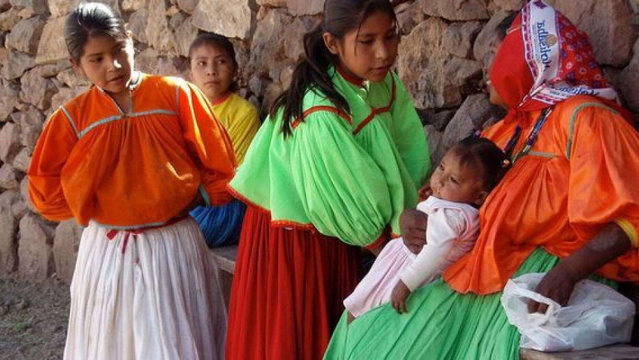 Người Tarahumara cũng đi hái một số loại rau, củ, quả và hạt ở trong các khu rừng.