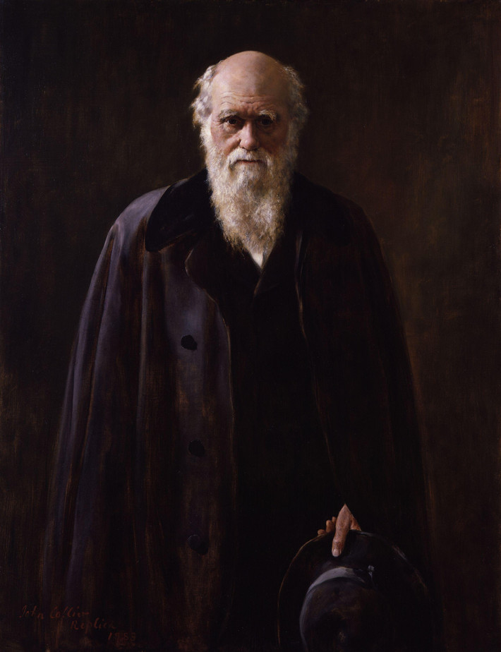 Chính điều này đã giúp Charles Darwin gặt hái được nhiều thành công trong lĩnh vực nghiên cứu khoa học và có ý nghĩa quan trọng đối với sự phát triển của nhân loại.