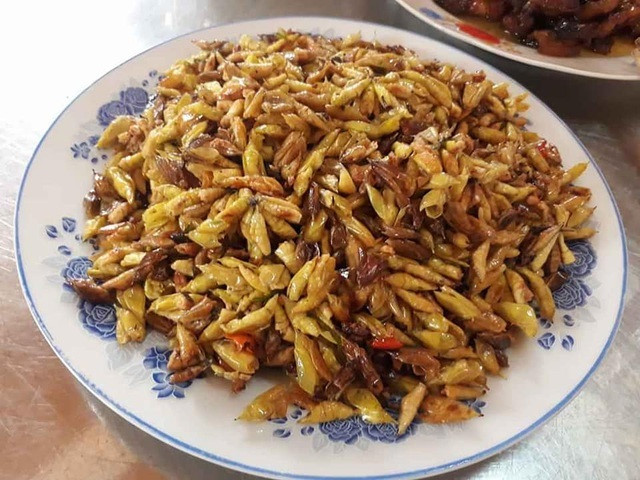 Nhộng sâu muồng về cơ bản cũng có hương vị như những loại nhộng sâu khác nhưng có lẽ chúng sinh trưởng dựa vào những tán cây màu mỡ ở Tây Nguyên nên hương vị đặc biệt hơn. Món ăn xuất hiện nhiều ở các quán nhậu và trong mâm cơm gia đình, được người dân địa phương rất yêu thích.
