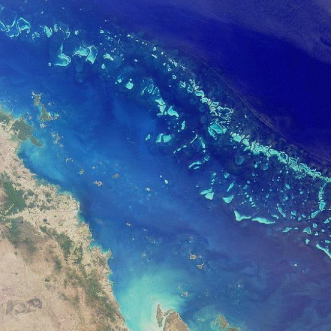 Rạn san hô Great Barrier được công nhận là hệ thống đá ngầm san hô lớn nhất thế giới khi trải dài trên diện tích 2.300 km và là một trong 7 kỳ quan Thế giới tự nhiên.