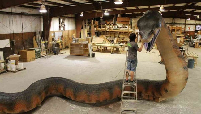 Trăn Titanoboa sống cách đây khoảng 58 - 61 triệu năm trước. Chúng có chiều dài lên tới 13m, dài gần gấp 2 lần so với loài trăn lớn nhất hiện nay.